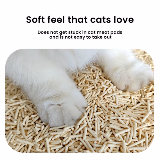 Grande desconto na maca de tofu para gatos fabricada na China